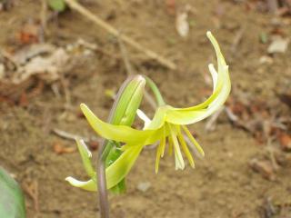 �y�ʐ^�z