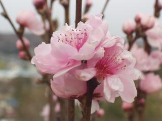 【写真】