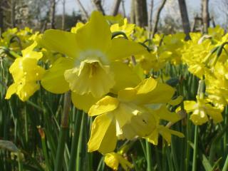 �y�ʐ^�z