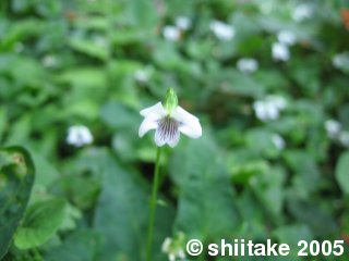 【写真】