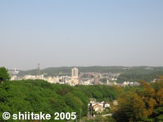 【写真】
