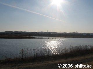 【写真】