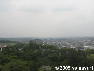 【写真】