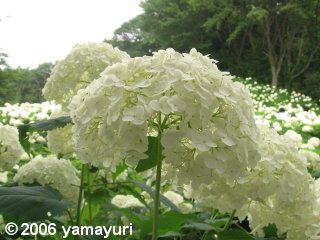 【写真】