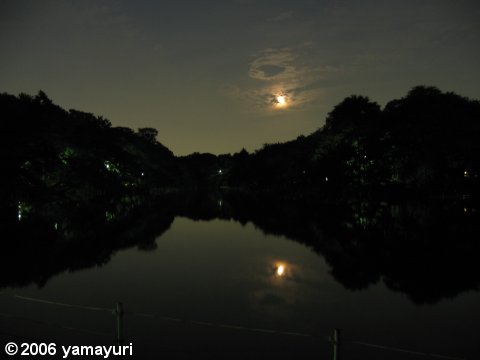 【写真】