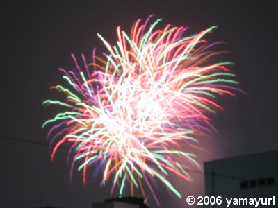 【写真：隅田川花火大会】
