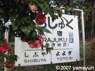 【写真】