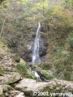 【写真：払沢の滝】