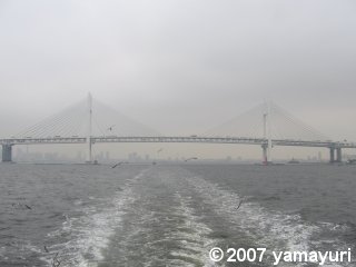 【写真：横浜ベイブリッジ】